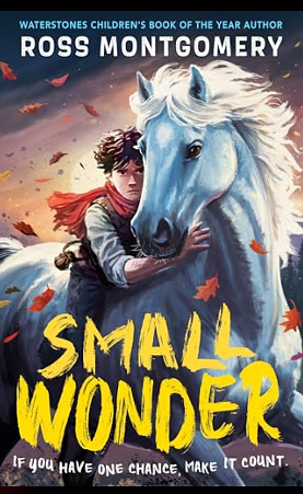 Small wonder by Ross Montgomery