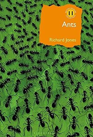 Ants: The ultimate social insects by Richard Jones