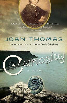 Curiosity: A Love Story by Joan Thomas