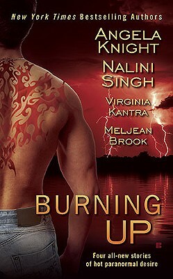 Burning Up by Nalini Singh, Angela Knight, Virginia Kantra