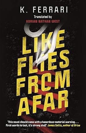 Like Flies from Afar by Kike Ferrari