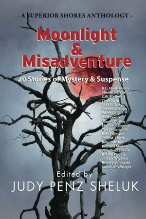 Moonlight & Misadventure by Clark Boyd, Joseph S. Walker, M.H. Callway, Elizabeth Elwood, Robert Weibezahl, John M. Floyd, C.W. Blackwell, Kate Fellowes, Michael A. Clark, Tracy Falenwolfe, Susan Jane Wright, Susan Daly, Jeanne DuBois, Buzz Dixon, Sharon Hart Addy, Billy Houston, Judy Penz Sheluk, K.M. Rockwood, K.L. Abrahamson, Bethany Maines