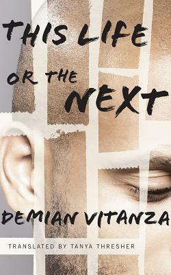 This Life or the Next by Demian Vitanza