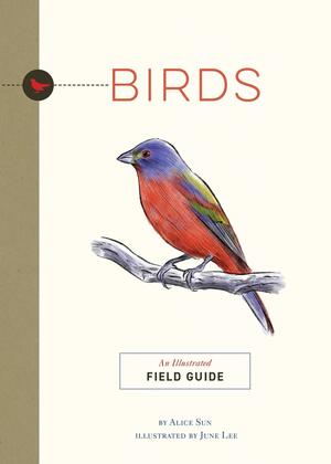 Birds: An Illustrated Field Guide by Alice Sun