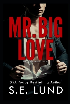 Mr. Big Love: The Mr. Big Series: Book Two by S. E. Lund
