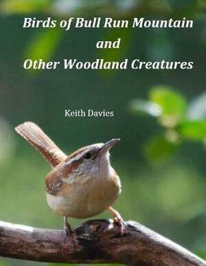 Birds of Bull Run Mountain and Other Woodland Creatures by Keith Davies