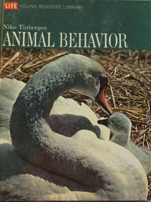 Animal Behavior by Niko Tinbergen