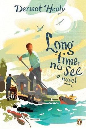 Long Time, No See: A Novel by Dermot Healy, Dermot Healy