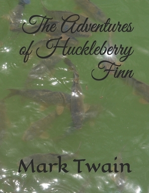 The Adventures of Huckleberry Finn by Mark Twain