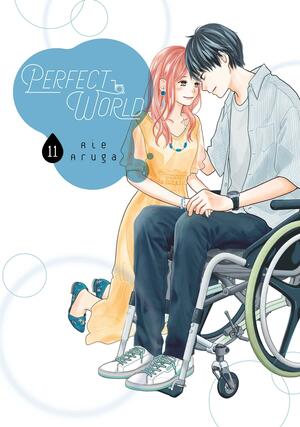 Perfect World, Volume 11 by Rie Aruga