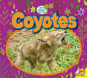 Coyotes by John Willis