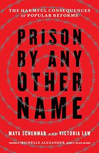 Prison by Any Other Name: The Harmful Consequences of Popular Reforms by Maya Schenwar, Victoria Law