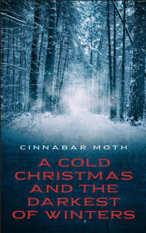 A Cold Christmas and the Darkest of Winters by Katie Groom, Joe Haward, Elyse Russell, Kisstopher Musick, Archita Mittra, Roy Christopher, Hector Duarte Jr., André Santana, Alexis Hansen, Vashelle Nino, Gwen C. Katz, Chad Musick, Cynthia McDonald, Frances Ogamba, A.M. Weald, Zoë Markham, Angelo Lorenzo, Ashe Thurman, T. War Powers Tilden, Kasimma, Suraya, Phoenix Blackwood