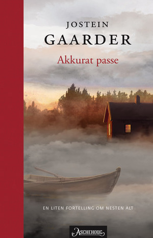 Akkurat passe by Jostein Gaarder