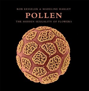 Pollen: The Hidden Sexuality of Flowers by Rob Kesseler