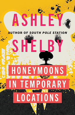 Honeymoons in Temporary Locations by Ashley Shelby