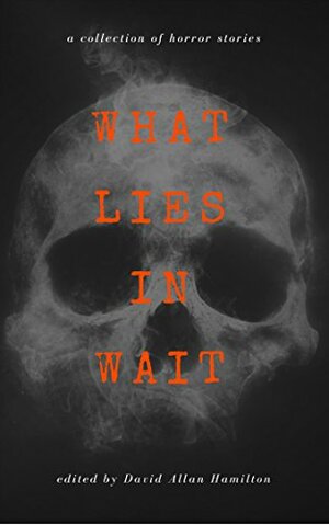 What Lies In Wait: A Collection of Short Horror Stories by Amalia Lemay, Nathaniel Neil Whelan, Julia Lye, Sean Kerr, Joshua Dick, Nathan Primeau, David Allan Hamilton, Tracy Bacenas, Bob Eslami, Manahil Bandukwala, Holden Primeau