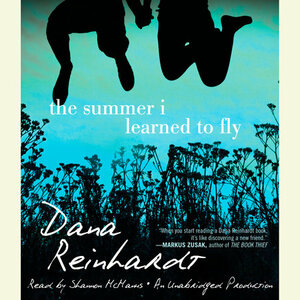 The Summer I Learned to Fly by Dana Reinhardt