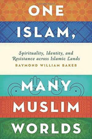 One Islam, Many Worlds of Muslims: Spirituality, Identity, and Resistance across the Islamic World by Raymond William Baker