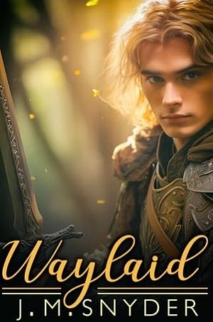 Waylaid by J.M. Snyder