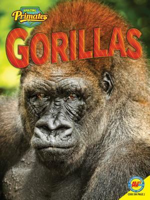 Gorillas by Pamela McDowell
