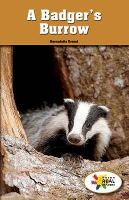 A Badger's Burrow by Bernadette Brexel