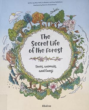 The Secret Life of the Forest: Trees, Animals, and Fungi by Klara Holik, Jana Sedlackova, Ivi Niesner