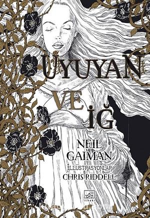 Uyuyan ve İğ by Neil Gaiman