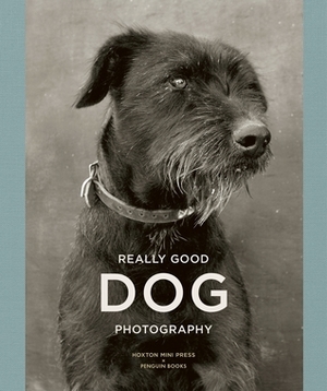 Really Good Dog Photography by Hoxton Mini Press