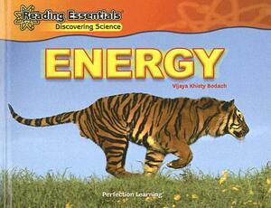 Energy by Vijaya Khisty Bodach