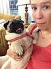diplopug's profile picture
