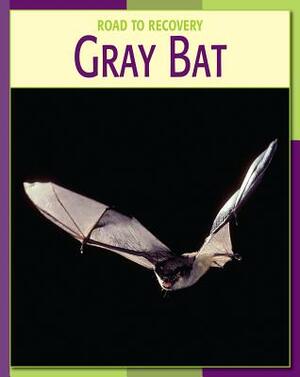 Gray Bat by Susan H. Gray