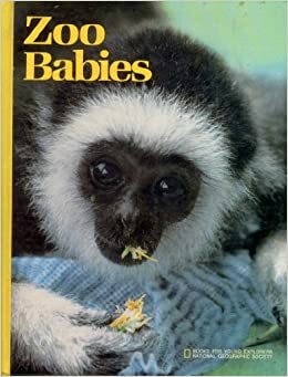 Zoo Babies by Donna K. Grosvenor