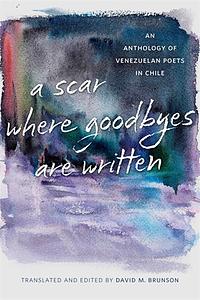 Scar Where Goodbyes Are Written by David M. Brunson