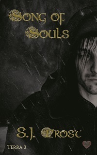 Song of Souls by S.J. Frost