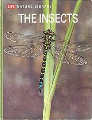 The Insects by Peter Farb