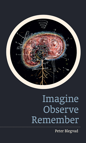 Imagine Observe Remember by Peter Blegvad