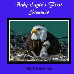 Baby Eagle's First Summer by Mark Newman