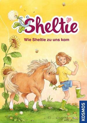 Sheltie - Wie Sheltie zu uns kam by Peter Clover