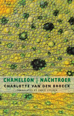Chameleon | Nachtroer by David Colmer, Charlotte Van den Broeck