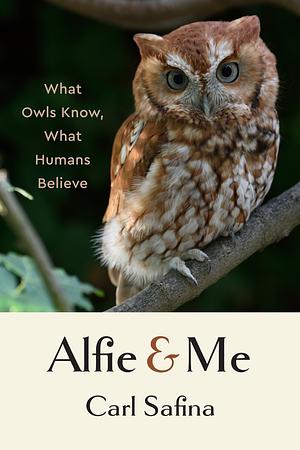 Alfie and Me: What Owls Know, What Humans Believe by Carl Safina