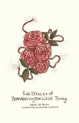 Side Effects of Remembering the Little Things by Bella