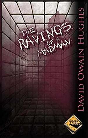 The Ravings of a Madman by David Owain Hughes