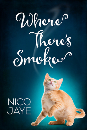 Where There's Smoke by Nico Jaye