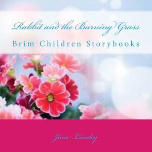 Rabbit and the Burning Grass: Brim Children Storybooks by Jane Landey