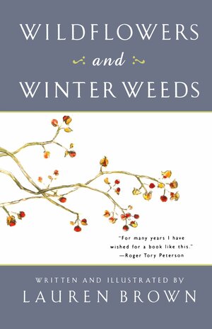 Wildflowers and Winter Weeds by Lauren Brown