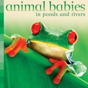 Animal Babies in Ponds and Rivers by Kingfisher Books