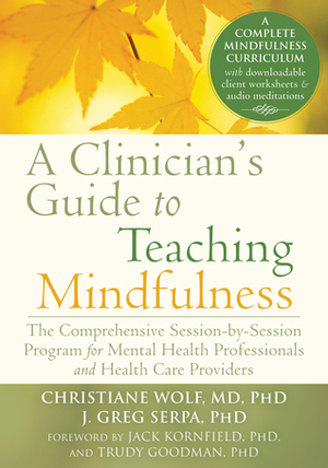 A Clinician's Guide to Teaching Mindfulness: The Comprehensive Session-by-Session Program for Mental Health Professionals and Health Care Providers by Christiane Wolf, J. Greg Serpa