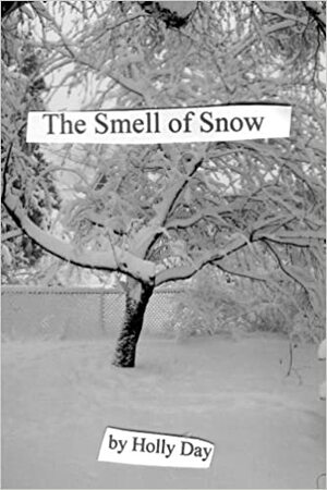 The Smell of Snow by Holly Day