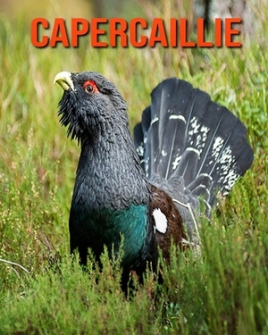 Capercaillie: Learn About Capercaillie and Enjoy Colorful Pictures by Diane Jackson